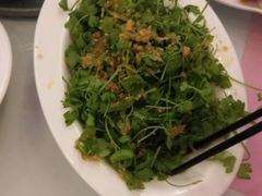 -河南省黄河迎宾馆