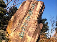 -昆山城市生态森林公园