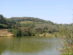 -南国桃园旅游度假区