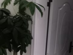 -黄牛肉馆·皖南土菜