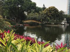 -晓港公园