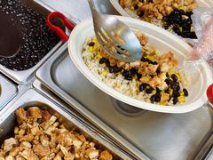 -油梨树AVOCADO TREE(顺义新国展店)