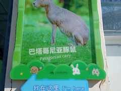 -大连森林动物园