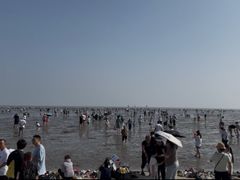 -碧海金沙