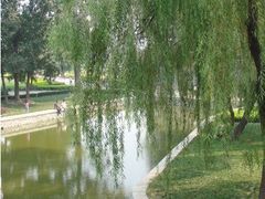 -达活泉公园