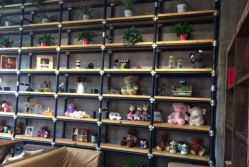 -iplus爱家高端孕妇摄影