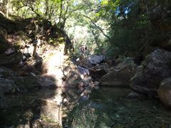 -祁门牯牛降观音堂风景区