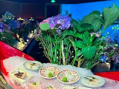 -地球美食剧场
