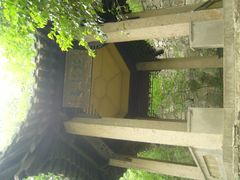 -镇江市南山风景名胜区竹林景区