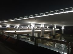 -演武大桥观景平台