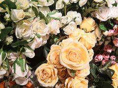 -The Green Party(湛江万达广场店)