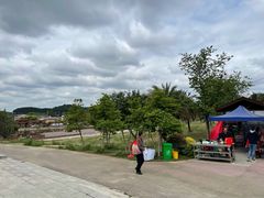 -绵阳盛世樱花悠乐谷