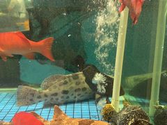 -聚福宝合苑食府(南头镇店)