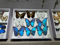 -烟台市博物馆