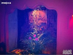 -花马天堂云南餐厅 Lost Heaven(高邮路店)