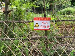 -青龙山国家森林公园