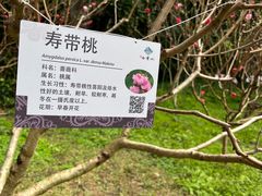 -桃花涧