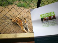 -横道河子东北虎林园