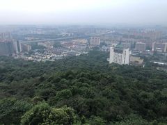 -杭州半山国家森林公园