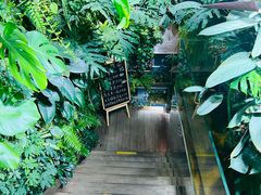 -森味薪火烧•烧鸟居酒屋•日本料理(望京店)