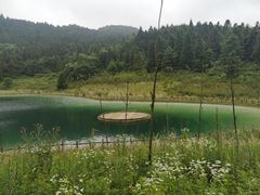 -武陵山森林公园