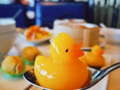 -唐阁海景中餐厅·早茶·粤菜•生日聚餐(海口朗廷酒店)