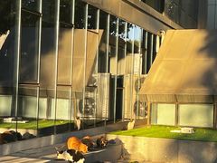 -农园餐厅(北京大学店)