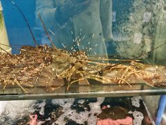 -都市阳光海鲜城(青山湖店)
