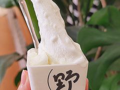 -野人先生Gelato(上海长宁龙之梦店)