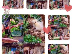 -正佳雨林生态植物园