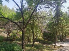 -封龙山风景区