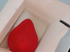 -燕之屋·燕窝(龙德店)