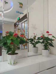 -Dr.林醫生产后修复·超级店(南京江宁同曦店)