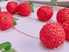 -常州花鸟园酒店(西太湖品牌优选店)