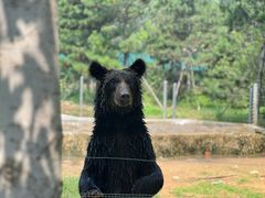 -秦皇岛野生动物园