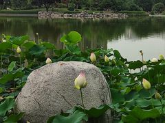 -木塔寺遗址生态公园