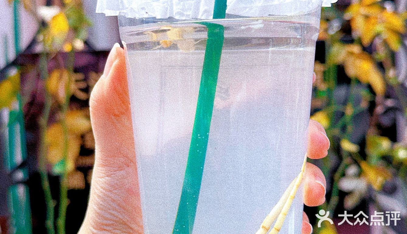 坐标五大道｜人手一杯小清新