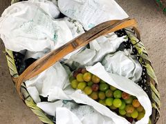 -马陆小张葡萄园农家乐