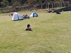 -龙寺生态园