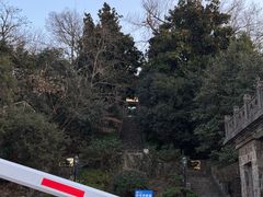 -紫金山山顶公园