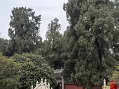 -武侯墓风景区