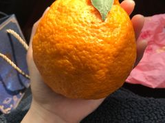 -上方山森林动物世界