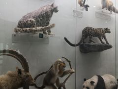 -国家自然博物馆