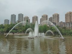 -龙头寺公园
