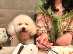 -the rug 飞毯 (朝阳公园店)