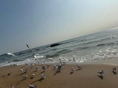 -老虎石海上公园