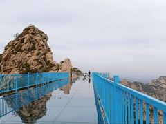 -大芦花风景区