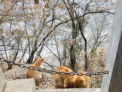 -终南山南五台景区