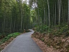-午潮山国家森林公园