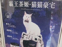 -霸王茶姬(正佳广场店)